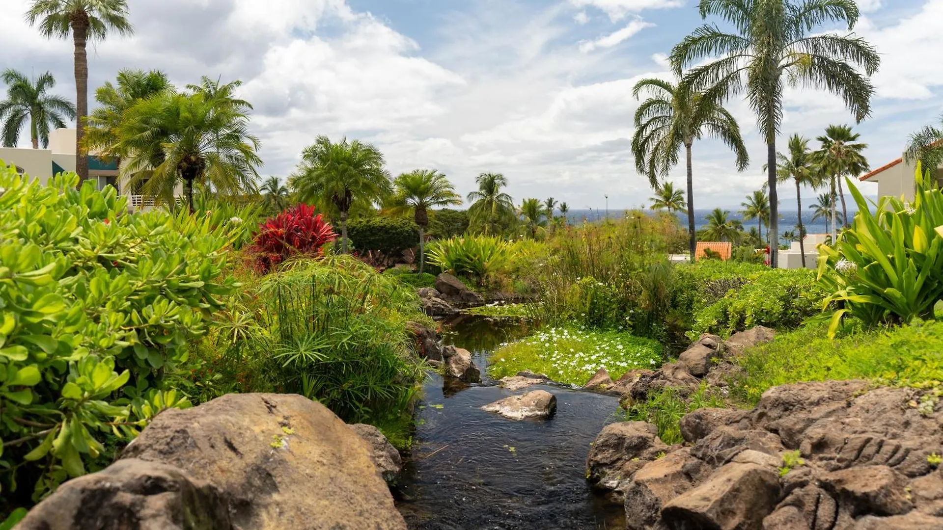 דירות Wailea Hidden Gem ארצות הברית